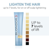 Blondor Professionals Soft Blonde Hair Lightening Cream 200G