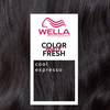 Wella Professionals Cool Espresso Color Fresh Mask  - 150ml