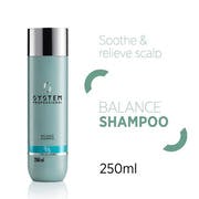 System Balance Shampoo B1 250ml